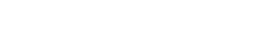 saleiteasy